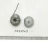 Click for 1 image(s) for this accession. FRUIT